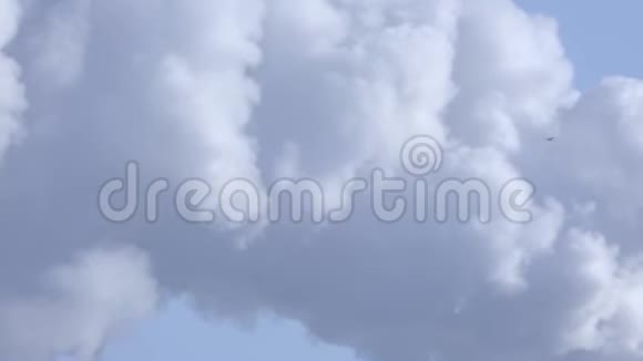 烟雾对空气的污染视频的预览图
