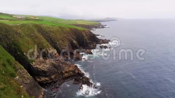 爱尔兰西海岸惊人的丁格尔半岛视频的预览图