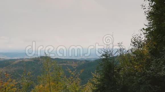 山林全景视频的预览图