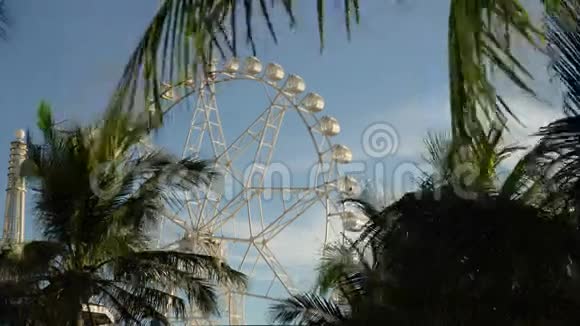 游乐园里的摩天轮视频的预览图