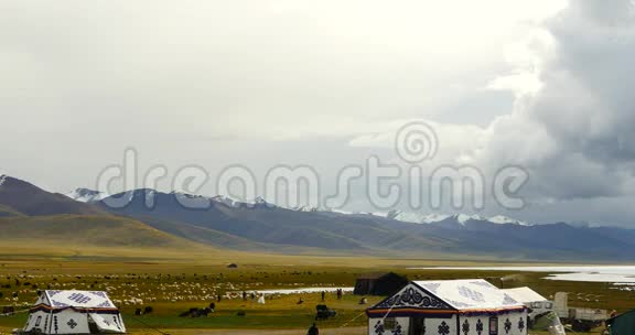 4k云团滚滚翻过西藏纳姆索湖牧民帐篷一群牛视频的预览图