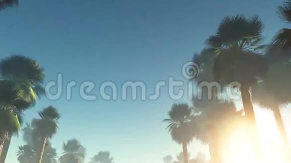 雾发光的太阳和手掌视频的预览图