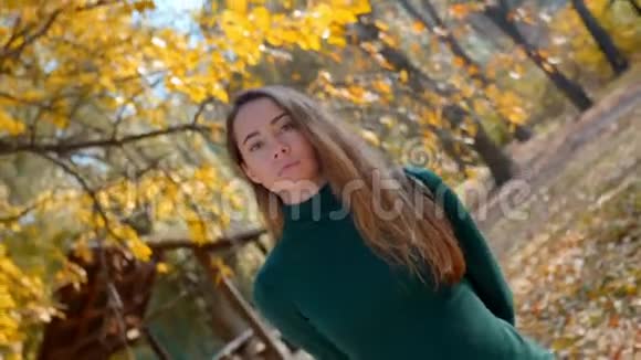 秋天黄树背景下一位年轻迷人的黑发女子的肖像视频的预览图