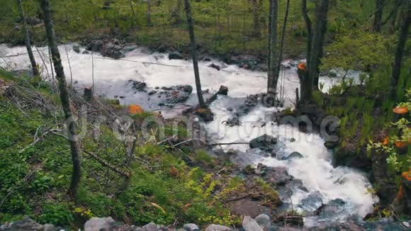格鲁吉亚山脉的瀑布和溪流视频的预览图