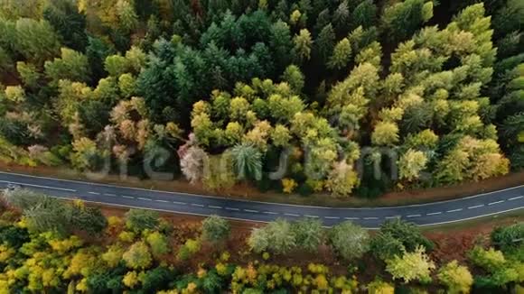 穿越秋季森林的道路鸟瞰图视频的预览图
