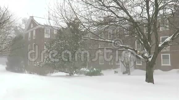 暴雪2016年在居民区视频的预览图