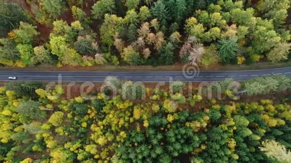 穿越秋季森林的道路鸟瞰图视频的预览图
