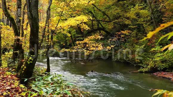奥拉西峡的秋天景色视频的预览图