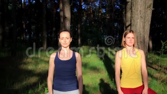 两个女孩在森林日落时冥想练习瑜伽健身运动慢动作稳定射击视频的预览图