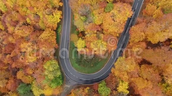 穿过秋天森林的道路鸟瞰图视频的预览图