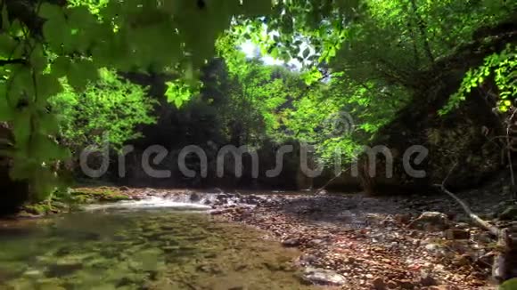 森林河HDR时间推移镜头机动滑块视频的预览图