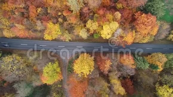 穿过秋天森林的道路鸟瞰图视频的预览图