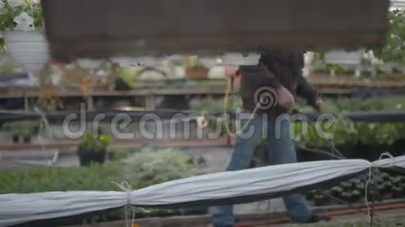 农民在植物上喷洒杀虫剂视频的预览图