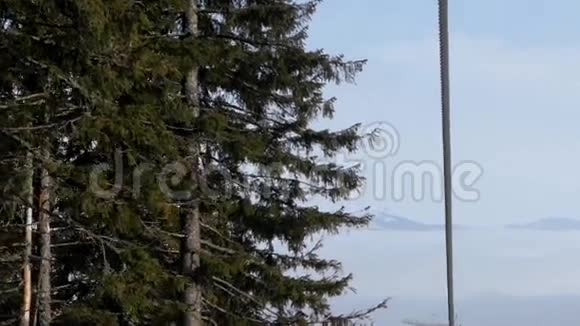 山中的冬林从滑雪缆车上可以看到视频的预览图