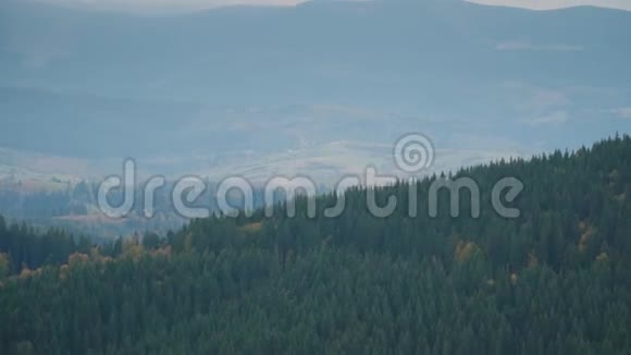 山林全景视频的预览图