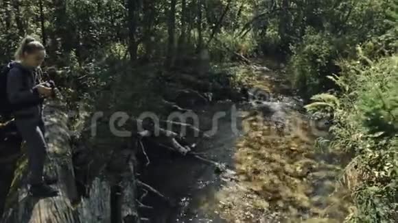 游客在森林河拍摄风景木桥倒树一个白种人女人用漂亮的魔法视频的预览图