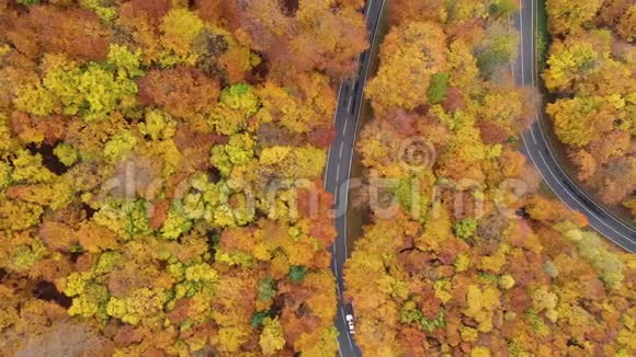 穿过秋天森林的道路鸟瞰图视频的预览图