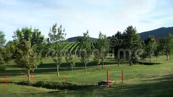 克雷恩拍摄的风景优美的葡萄园背景令人惊叹视频的预览图