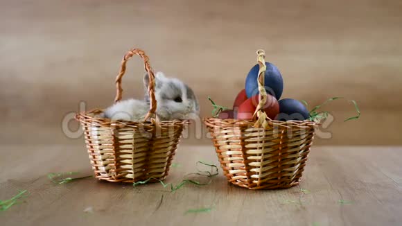 兔子在篮子里复活节快乐视频的预览图