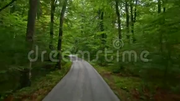 穿过克罗地亚树林的后路欧洲视频的预览图