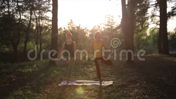 两个女孩在森林日落时冥想练习瑜伽健身运动慢动作稳定射击视频的预览图