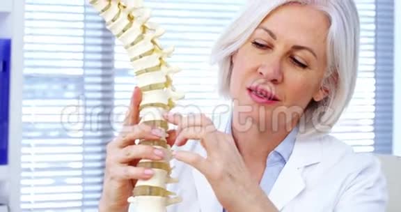 持有脊柱模型的女医生肖像视频的预览图