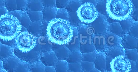 细菌病毒蓝色背景下细胞流动动画医疗保健研究概念视频的预览图