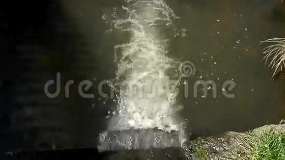 春天自然中的瀑布和河流视频的预览图