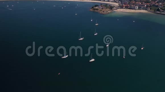 海景白色帆船视频的预览图