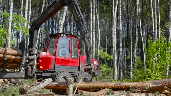 木材装载将原木装入卡车木材加工砍伐森林用爪装载木材视频的预览图