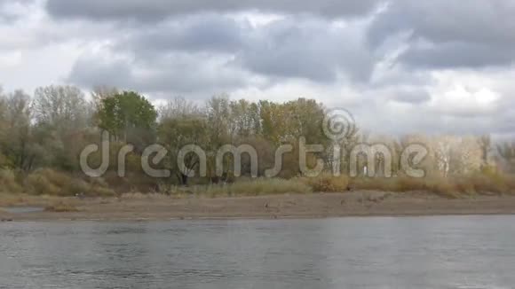 秋天的乌拉尔河视频的预览图