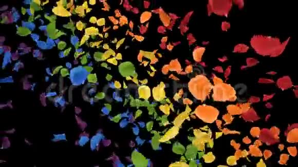 飞翔的浪漫彩虹彩虹玫瑰花瓣阿尔法环视频的预览图