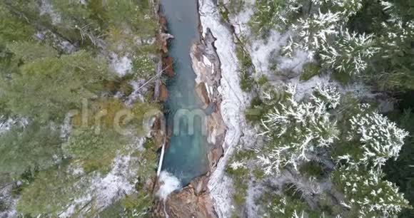冬季流经森林的河流视频的预览图