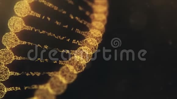 旋转神经丛DNA链橙色版本视频的预览图