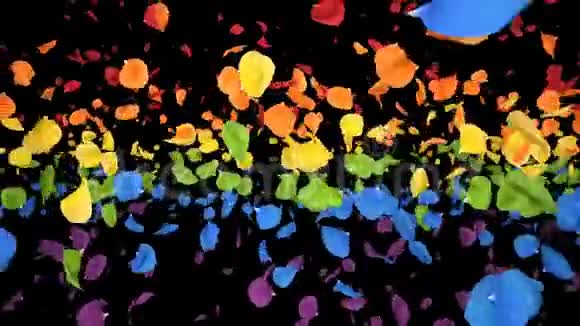 飞翔的浪漫彩虹彩虹玫瑰花瓣阿尔法环视频的预览图