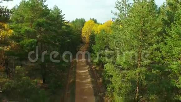 乡村秋天森林的空中录像视频的预览图