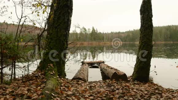 森林湖的桥秋天的白天光滑的娃娃射击视频的预览图