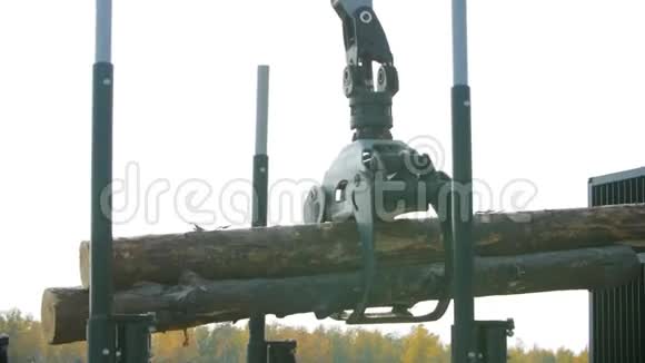一台林业机器在现场着陆时装载一辆原木卡车伐木机视频的预览图