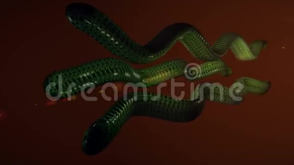 绿蛇背景视频的预览图