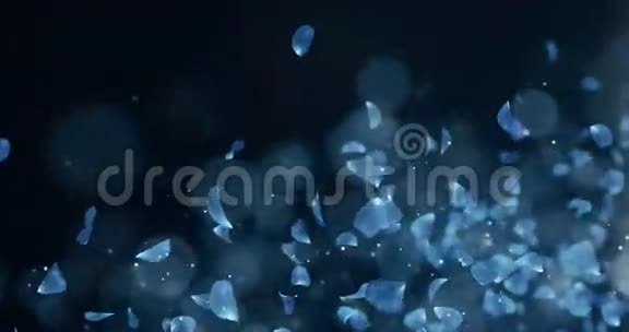 飞行浪漫的深蓝色玫瑰兰花花瓣占位符落回路4k视频的预览图