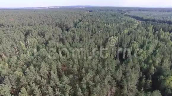 飞过森林空中勘测视频的预览图