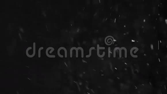 尘埃粒子的宏观影像真正的尘埃可以用于雪视频的预览图