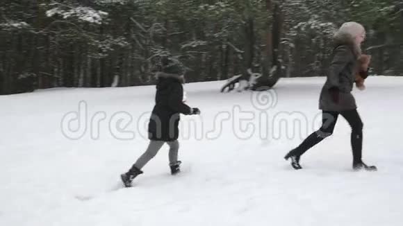 一家人在冬天扔雪球玩视频的预览图
