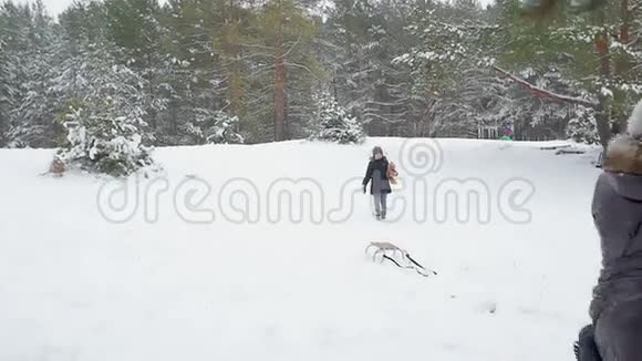 一家人在冬天扔雪球玩视频的预览图
