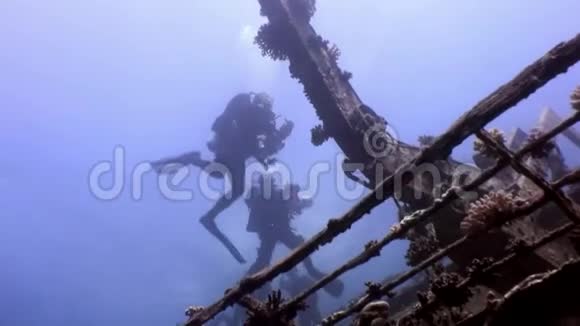 水肺潜水员游泳探索沉船SalemExpress深海深海红海视频的预览图