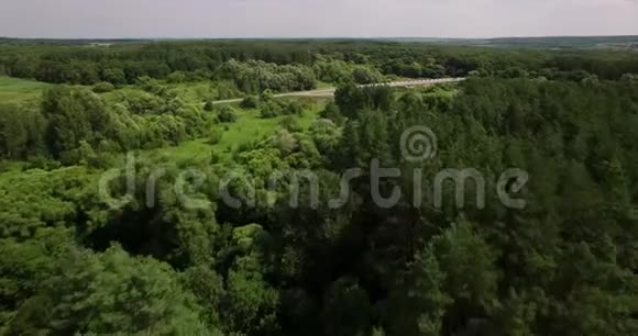 夏日的茂密森林的空中景色视频的预览图