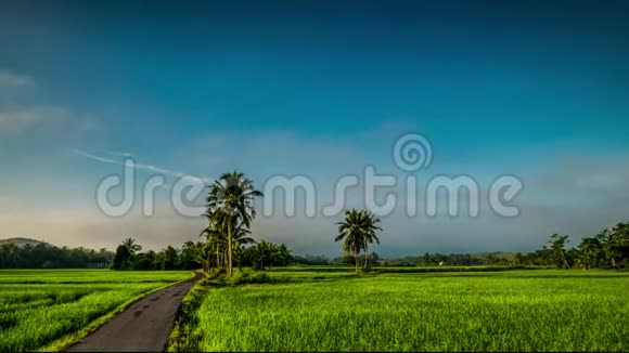 马来西亚基达稻田美丽的时代视频的预览图