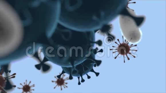 防御概念人体抗病毒显微图像三维渲染视频的预览图