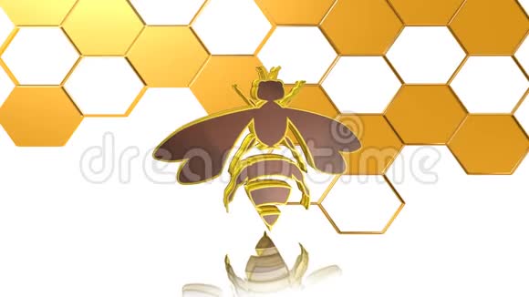 蜜蜂图标标志最佳三维插图最佳动画视频的预览图
