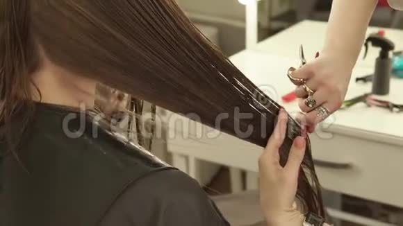 理发店理发师用剪刀梳理和剪长发关闭理发师做女性理发视频的预览图